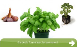 aromates