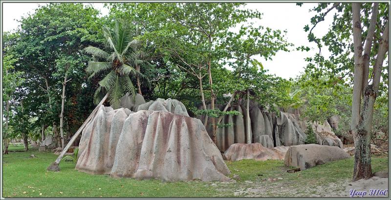 Le très court après-midi (à peine un peu plus d'une heure, 15h20 - 16 h 25 !) va nous permettre de découvrir un peu de la très belle île Grande-Sœur - Seychelles