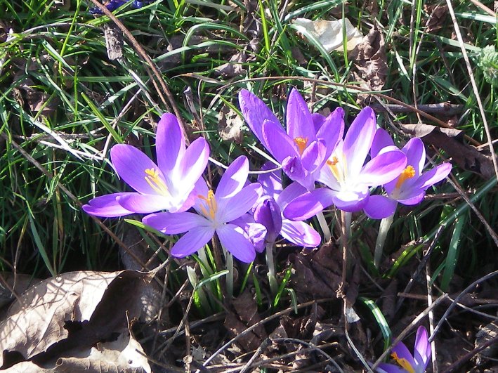 image05.jpg