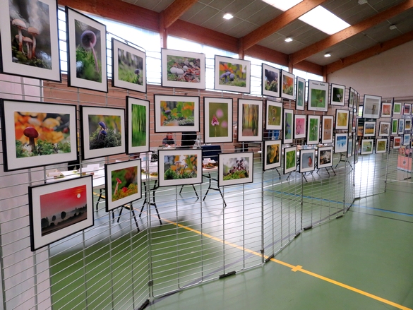 beaucoup d'artistes et artisans d'Art ont exposé au "salon des champignons" 2023 de la Société Mycologique du Châtillonnais