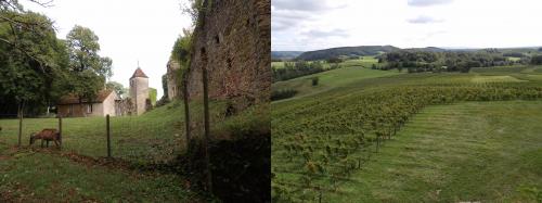 Maison du comté et château d'Arlay, séjour camping-car