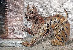 Le Chat - La Légende