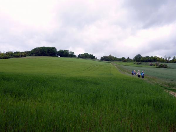 Randonnée entre Mareil-sur-Mauldre et Neauphle-le-Château