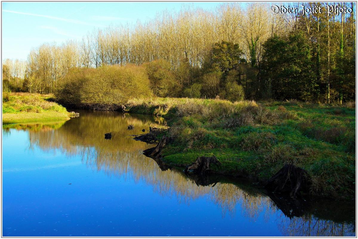 (85) Vendée - Lac du Jaunay (1)