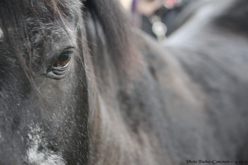 doudou & black 14/09/13