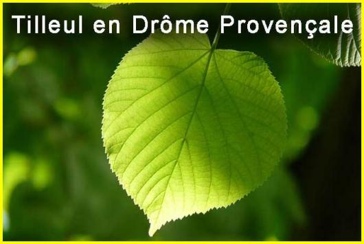 ⊱♥⊱╮ღ꧁  26 LA DROME ꧂ღ ⊱♥≺  