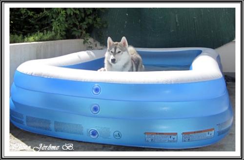 A l'eau ! (11 mai 2013)