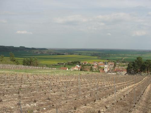 La Chapelle des Templiers d'Epailly