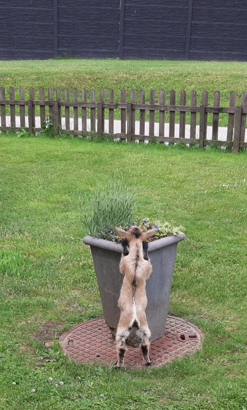 Rien à faire je dois chipoter!