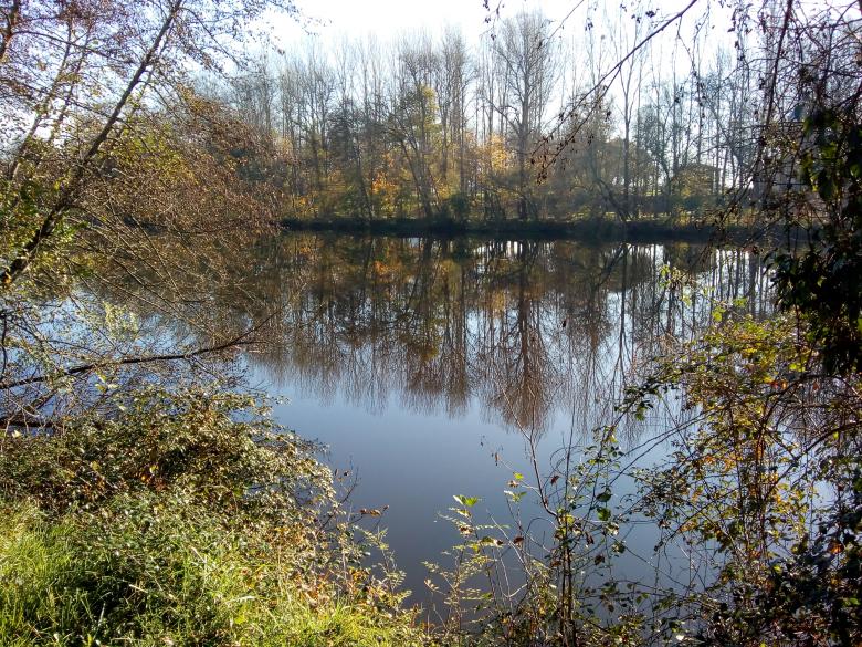 promenade au grand air ce dimanche