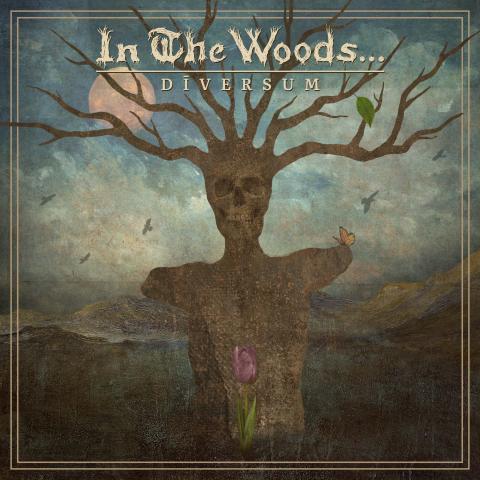 IN THE WOODS... - Un nouvel extrait de l'album Diversum dévoilé
