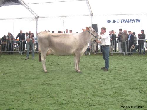 Les Journées Châtillonnaises 2009