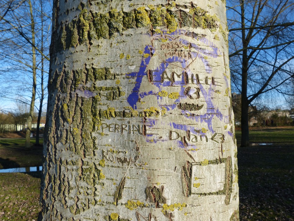 Un dimanche sous le soleil ...