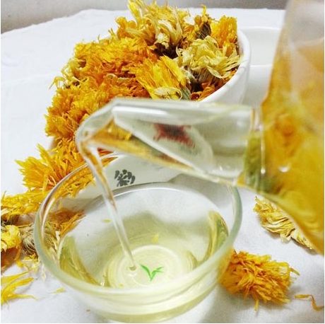 Fleurs cultivées : Souci