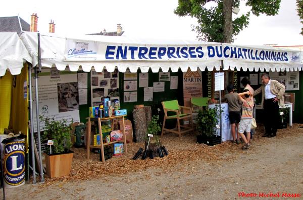 Les Journées Châtillonnaises 2014