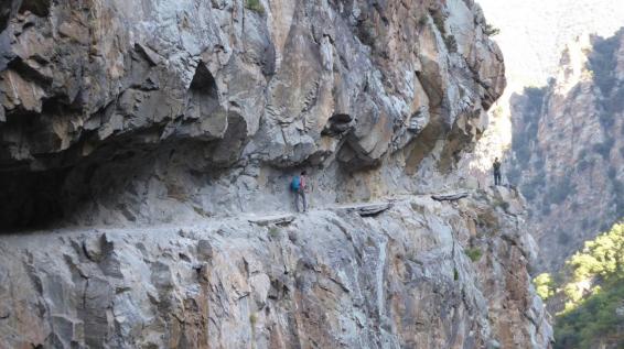 ╰⊱♥⊱╮ღ꧁ Département  66  ꧂ღ╭⊱♥≺