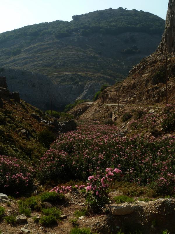 Ikaria : Sur la route de Maganitis