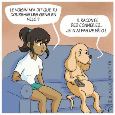 ღ꧁ღ╭⊱ꕥ Avec Humour ! ꕥ⊱╮ღ꧂ღ