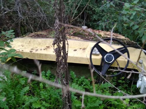 Le bateau québécois toujours à sa place forestière - Aix-en-Provence