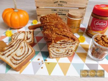 Babka cannelle & pâte de speculoos