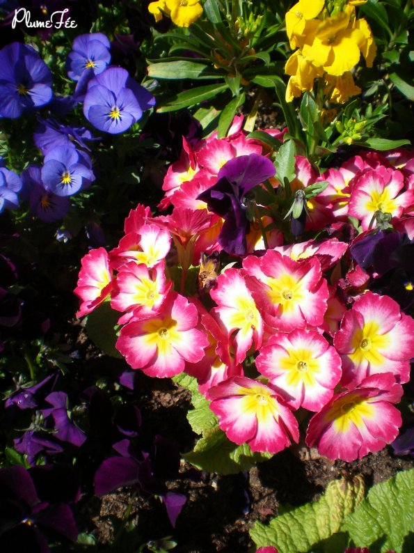 Image005.jpg