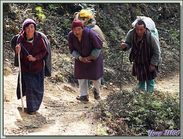 Blog de images-du-pays-des-ours : Images du Pays des Ours (et d'ailleurs ...), La montée au Trashigang Goemba (3400 m d'altitude) est dure quand on est chargé! - Bhoutan