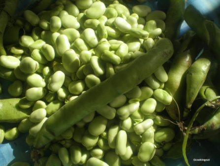 Légumes du mois d'Avril