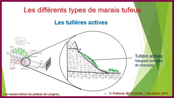 "Les marais tufeux du Plateau de Langres", une conférence proposée par la Société Mycologique du Châtillonnais
