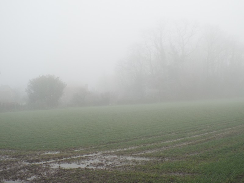 Brouillard 