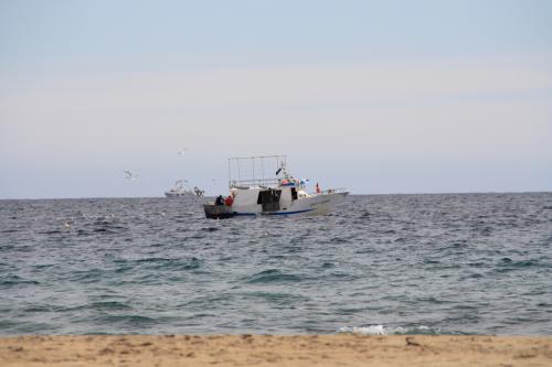 Lundi 20 au dimanche 26 janvier