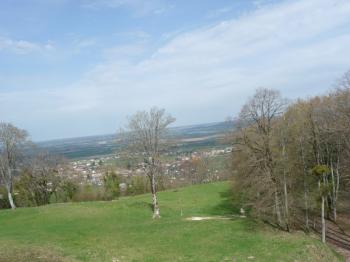 Le printemps est là ! 