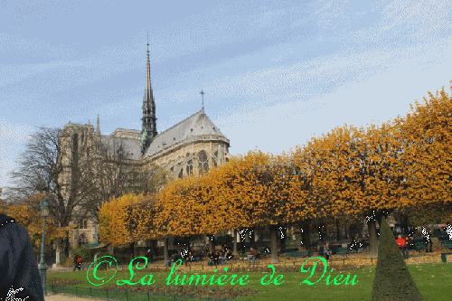 La cathédrale Notre-Dame de Paris