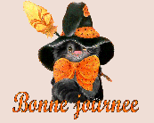 Halloween ! cartonnettes - MP