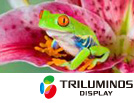TV LED Sony KD55X9005 Ultra HD 3D