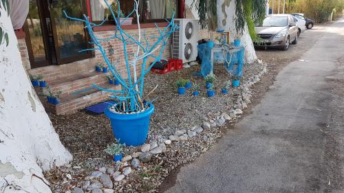 De SALAMINE à MELANGAVI