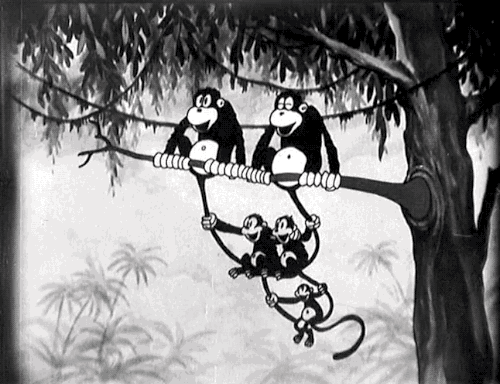 La Guenon Le Singe Et La Noix Blog Du Prasmel La Guenon Le Singe Et La Noix Blog Du Prasmel