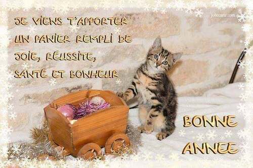 1er janvier 2023