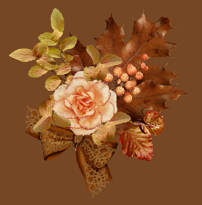 images scintillantes automne