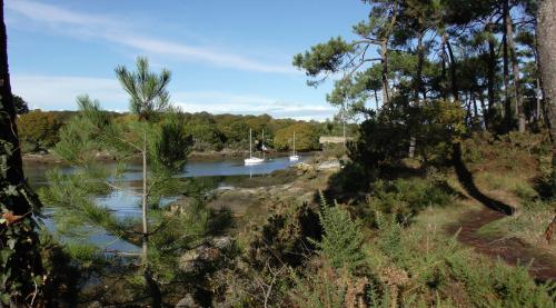  Suite de la suite de l'épilogue !