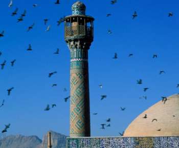 Architecture bizarre. (4 et fin)