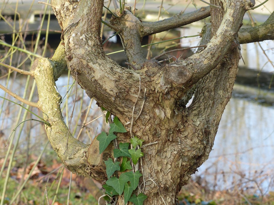 Entre deux tempêtes ... 