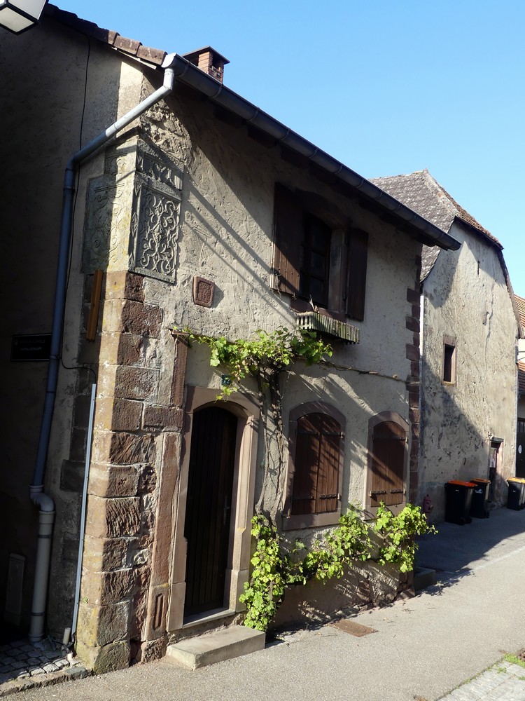 Maison