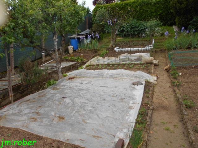 jardinage en Mai , 15,16 et 17 jours Fruits alors on plante......