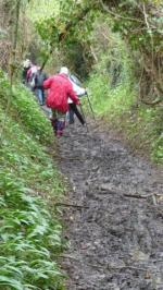 La randonnée du 6 mai à Bavent
