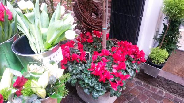 BONNE ANNEE : Fleurs