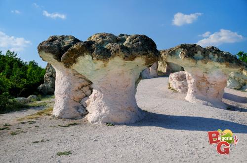 LES ROCHERS CHAMPIGNONS