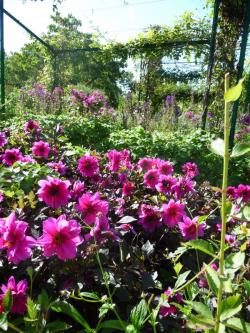 Une journée entière de vacances à Giverny / 2 /