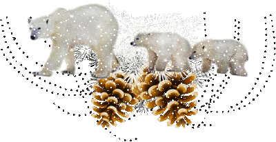 Le Noël des ours ...