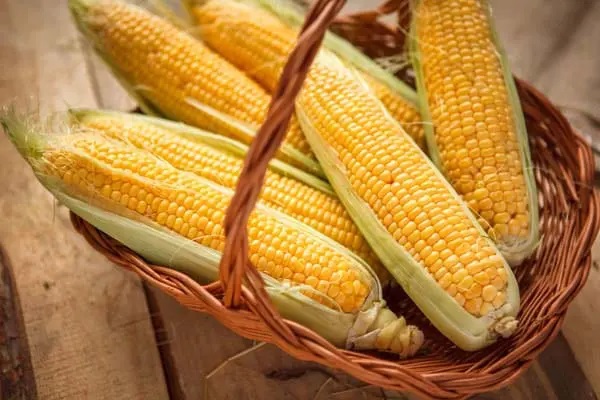 Légumes du mois de Juillet