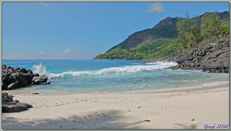 Départ pour une marche dans la forêt, impénétrable hors sentier, vers la Pointe Ramasse-tout et la plage d'Anse Cimetière - Ile Silhouette - Seychelles